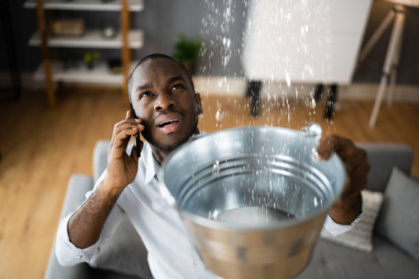  Kenvil, NJ Water damage restoration Pros