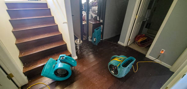 Best Commercial water damage restoration  in Kenvil, NJ
