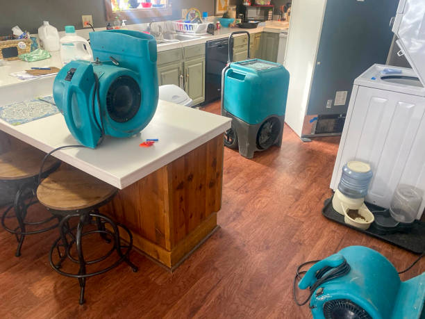 Best Mold removal after water damage  in Kenvil, NJ
