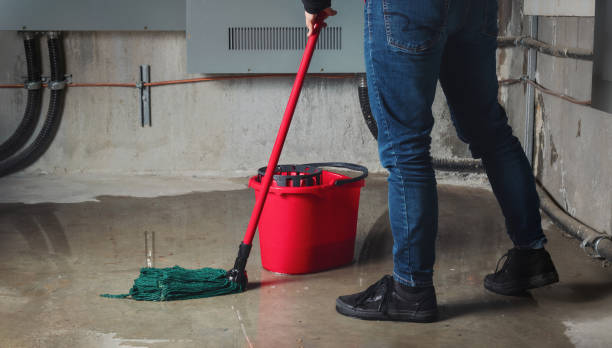 Best Water damage restoration near me  in Kenvil, NJ