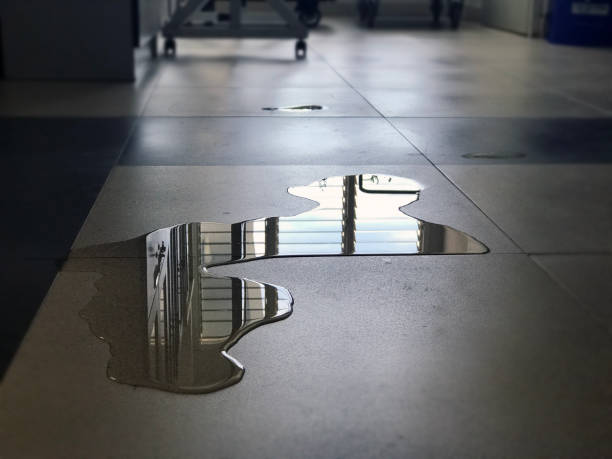 Best Water damage restoration near me  in Kenvil, NJ