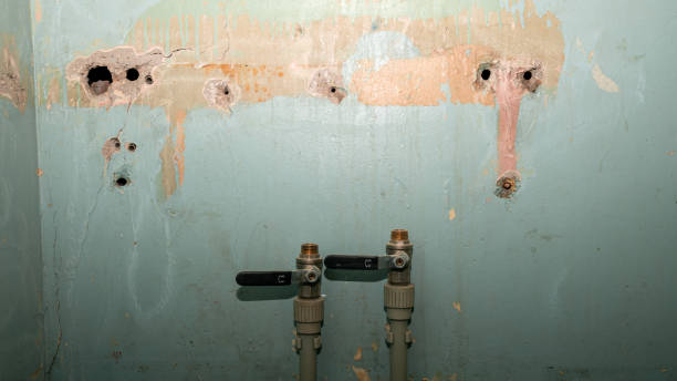 Best Residential water damage restoration  in Kenvil, NJ