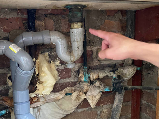 Best Local water damage restoration  in Kenvil, NJ